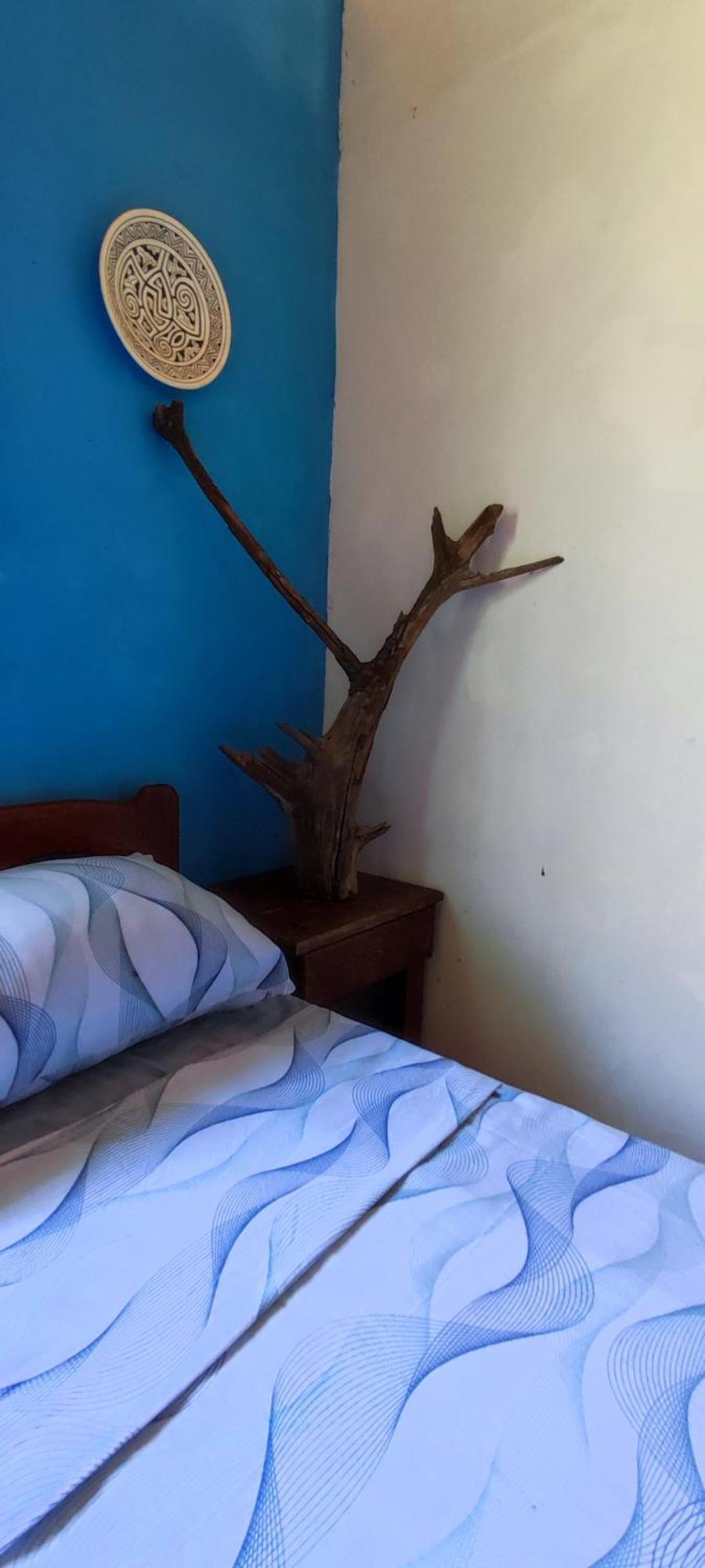 Eco Hostel Lunar Soure Extérieur photo