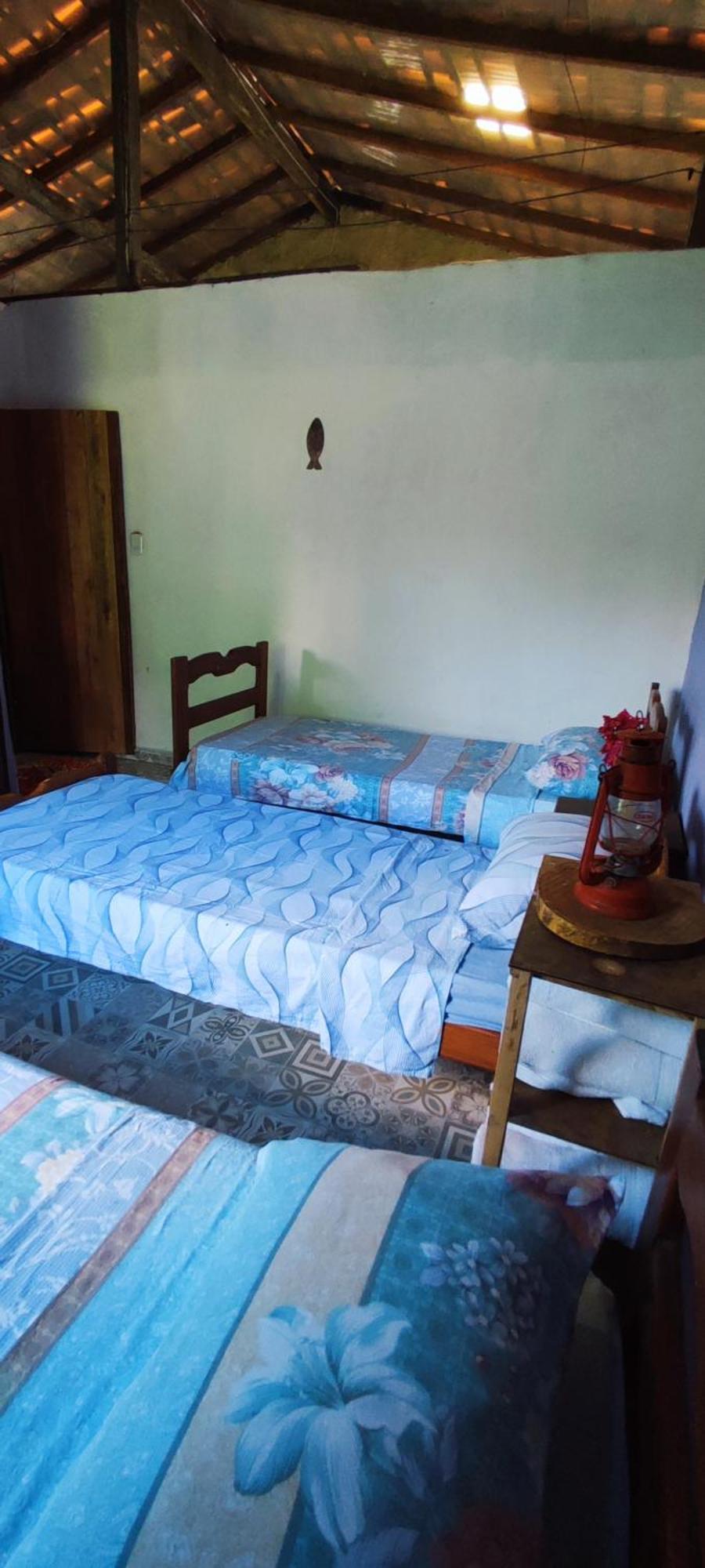 Eco Hostel Lunar Soure Extérieur photo