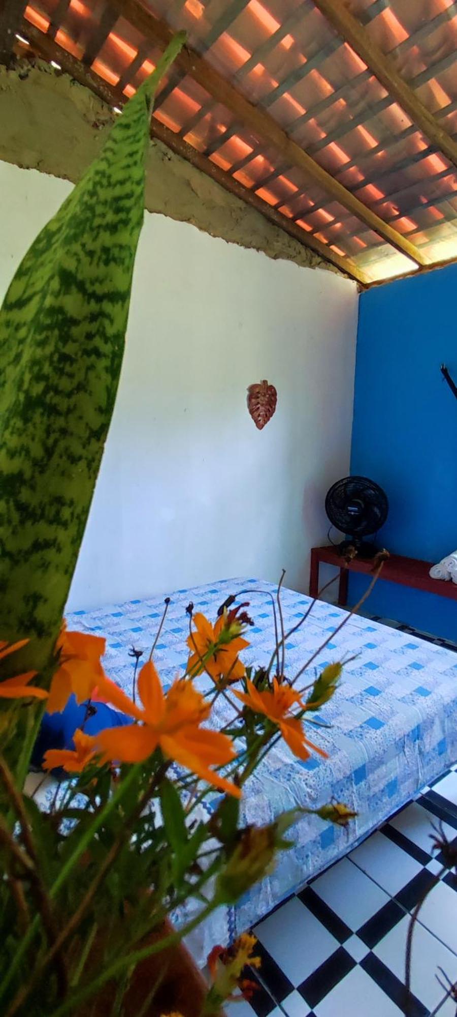 Eco Hostel Lunar Soure Extérieur photo